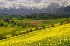 colline_teramane_2556